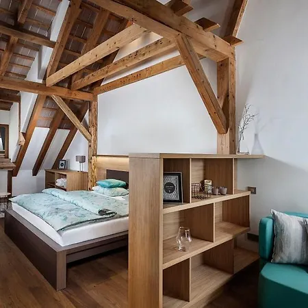 Kastiel Kubinyi (adults Only)